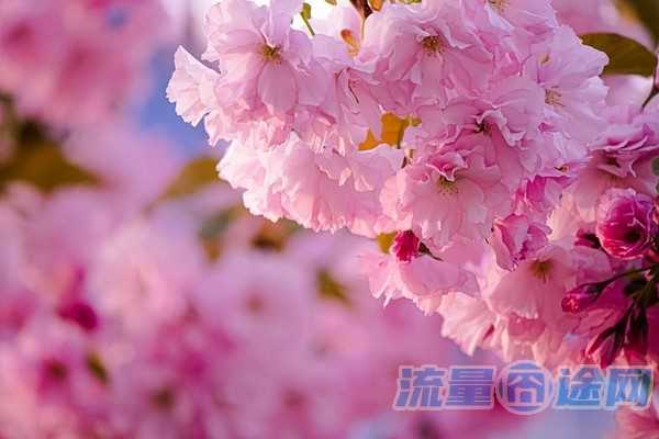 中国广电网上营业厅(中国广电网上营业厅打不开)2