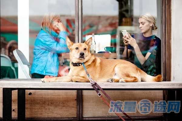 小米39元吃的爽卡怎么样（小米39元吃的爽套餐怎么样）
