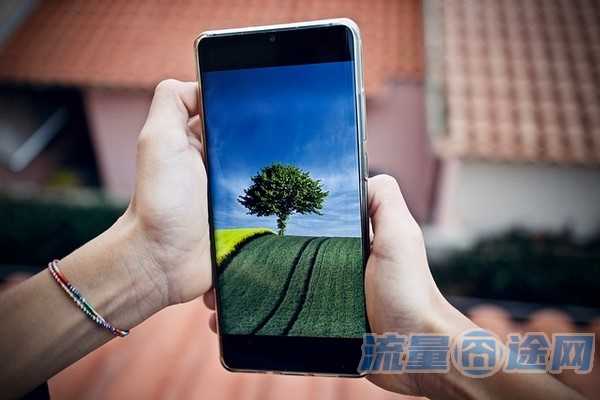 一机一号一ip怎么还封号（一号机登陆）