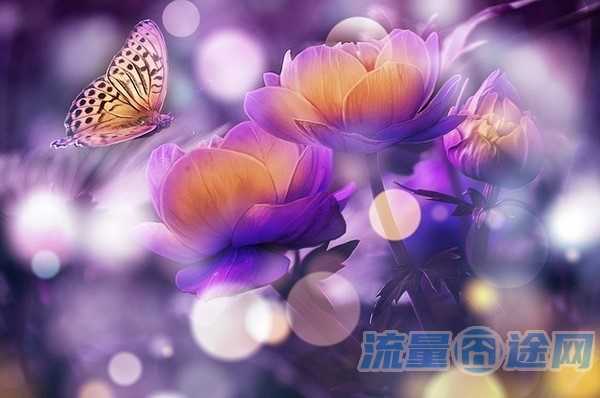 星卡可以强制激活吗（星卡可以强制激活吗怎么激活）