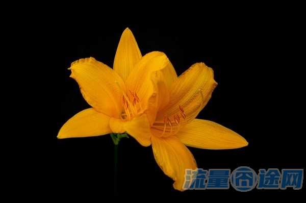 怎么查看电话卡是否注销（如何销户电话卡）