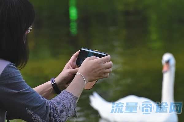 大王卡怎么开启免流量模式(大王卡在哪设置免流量)2