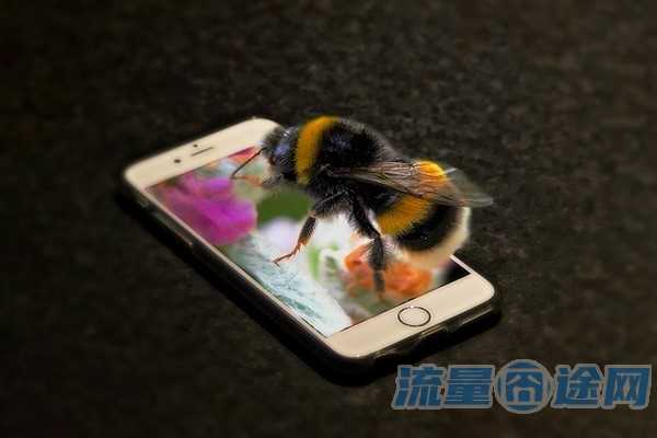 流量卡的编码怎么查看（流量卡卡板编号）