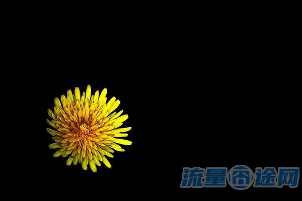 湖北星卡代码（深圳星卡代码）