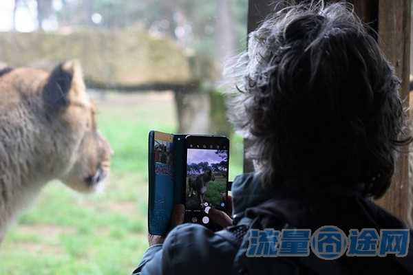 天翼视频日租卡9档定向流量(天翼视讯0元20g全国定向流量包)2