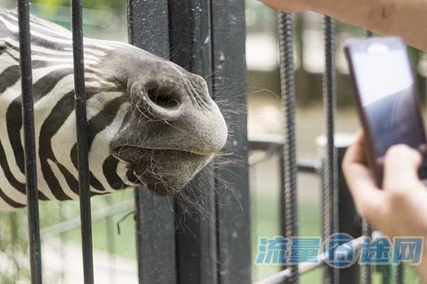 170携号转网成功（177携号转网）
