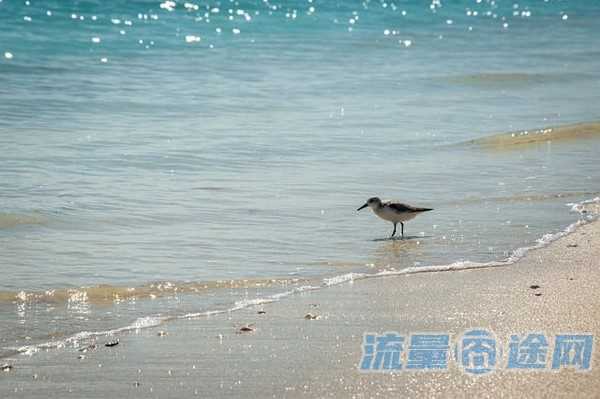 90g流量卡（90g流量卡多少钱）