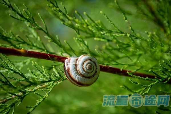 免费安装宽带的套路（免费安装宽带的套路有哪些）