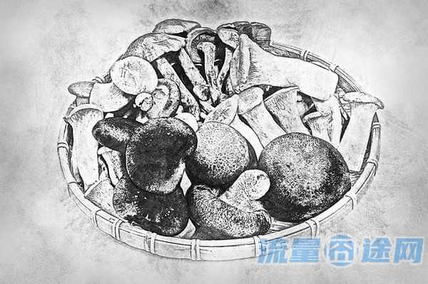 最便宜的手机卡一个月多少钱(免费申请0元手机卡)2