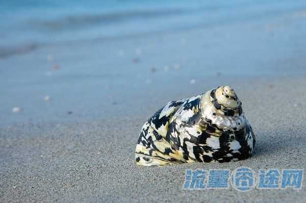 不限年龄的流量卡办理(校园流量卡办理年龄)2