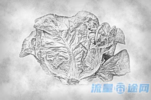 有没有无限流量的手机卡（现在有没有无限流量的手机卡）2