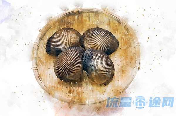 家里怎么安装无线网(家里怎么安装无线网络连接)2