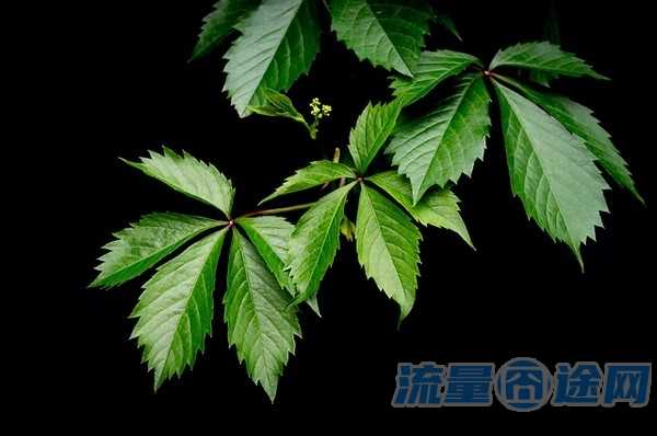 目前划算的手机卡(2021年最划算的手机卡)2