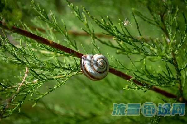 怎么改变手机号码归属地（不换号可以改归属地吗）