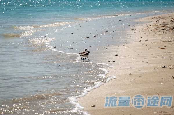 在北方用什么卡信号好（北方用什么卡网速好）