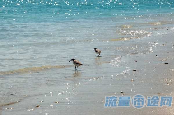快手卖的流量卡靠谱吗（在快手上买的流量卡有安全隐患吗）