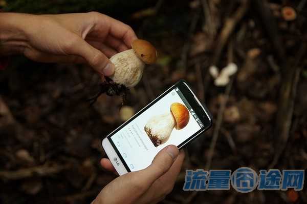 没有最低消费的流量卡(无月租无最低消费手机流量卡)2