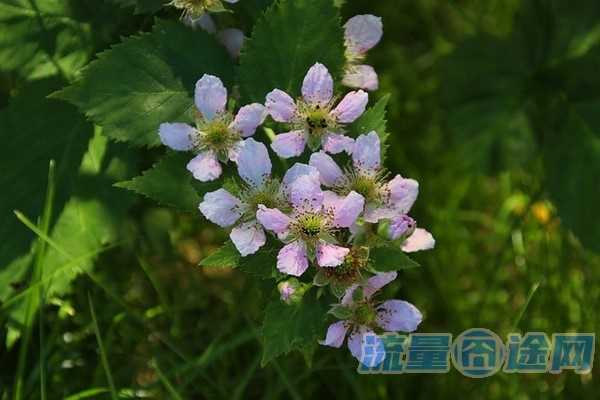 5g卡用哪种比较划算(5g用什么卡划算)2
