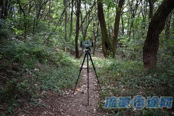 网上不换号改套餐是真的吗(不改号码换套餐)2