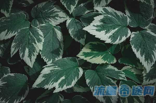北京哪个信号好(北京哪个通信信号好)2
