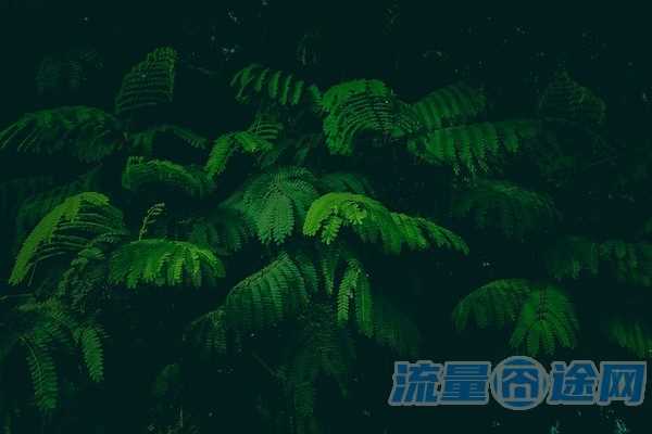 为什么大王卡小红书不免流（大王卡 小红书）