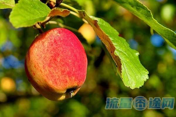 家里有宽带怎么装wifi（家里有宽带怎么装WiFi）2