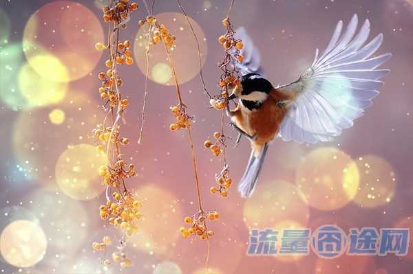 淘宝买的电话卡能换套餐吗(淘宝买的电话卡能换套餐吗怎么换)2