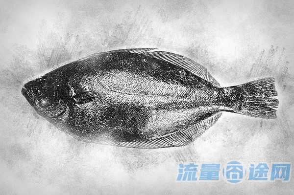 流量囧途文章-那种手机卡流量多（那种手机卡流量多通话多）