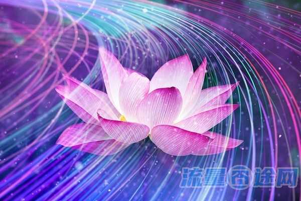 流量囧途文章-流量卡补发（流量卡丢失了,去办退卡行吗?）