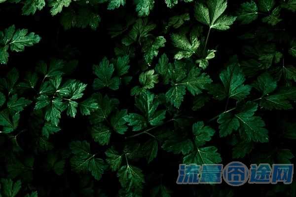 月租便宜流量多的卡推荐（月租便宜流量多的卡推荐什么套餐）2