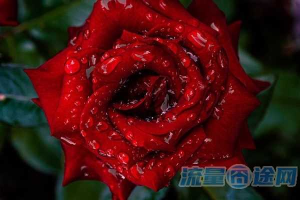 流量囧途文章-流量卡怎么开启apn（流量卡怎么开启短信功能）