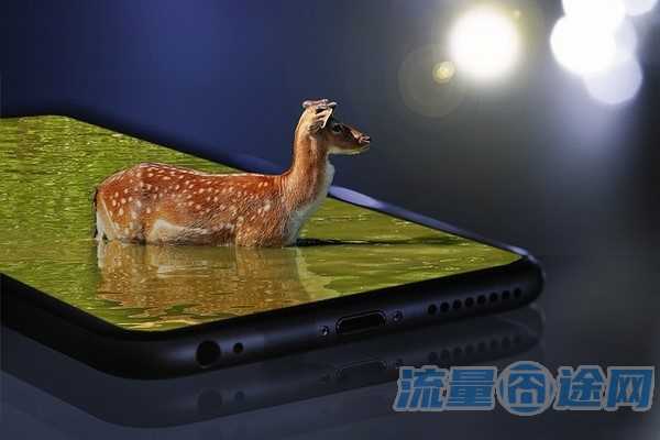 流量囧途文章-电信纯流量卡月租（电信流量卡一个月多少钱一张）