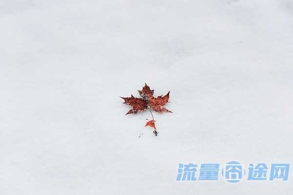佛山移动流量多的卡（佛山移动流量卡有几种）