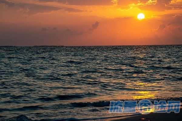 流量囧途文章-流量卡插上显示什么（流量卡插在手机上显示什么）