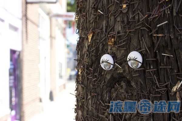 流量囧途文章-不限流量卡成都(不限流量卡多少钱)