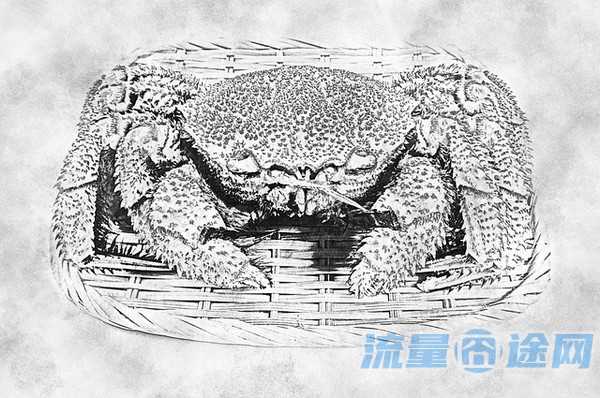 流量囧途文章-武汉纯流量卡如何申请（武汉哪里有流量卡卖）