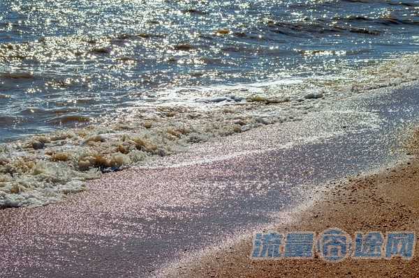 最近流量多的卡有哪些（2021年流量多的手机卡）2