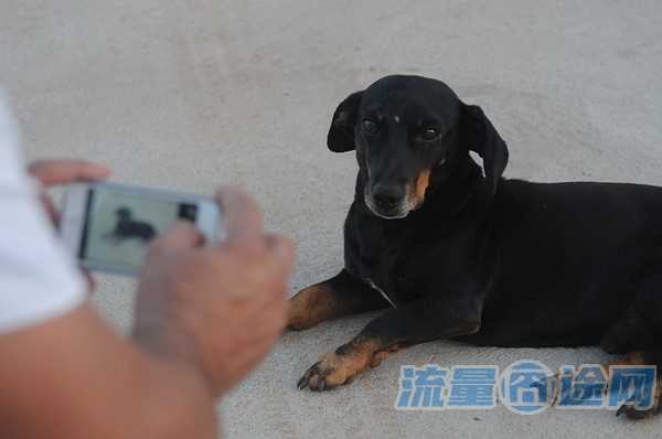 移动的卡哪种不卡流量多(移动什么卡流量多还便宜)2