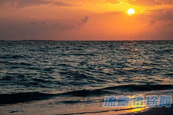 流量囧途文章-哪里办理流量卡可靠吗（在哪里办流量卡好）