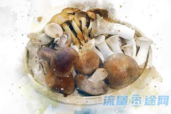 怎么找流量多的卡片（怎么找流量多的卡片设置）