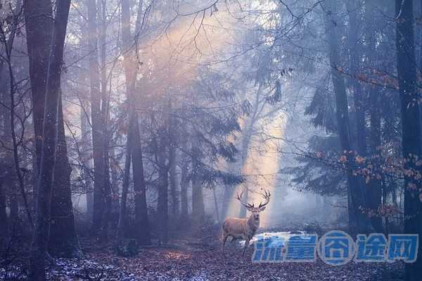 河南套餐推荐流量多的卡（河南手机卡套餐哪个好）2