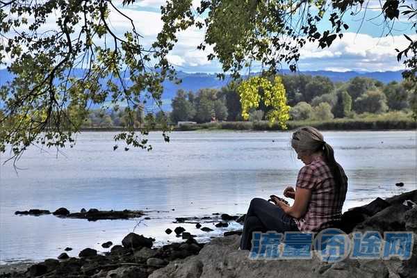 流量囧途文章-用大王卡办流量卡免费吗(大王卡只要用流量就要1