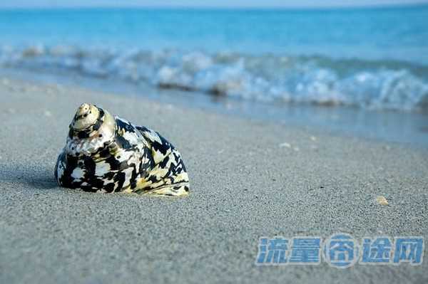 流量囧途文章-流量卡和免流量的区分（流量卡和免流量的区分是什